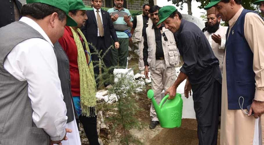 عمران خان شجرکاری مہم