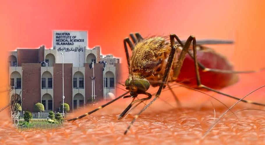 ڈینگی وائرس تیزی سے پھیلنے لگا، ملک بھر میں 2900 سے زائد افراد متاثر