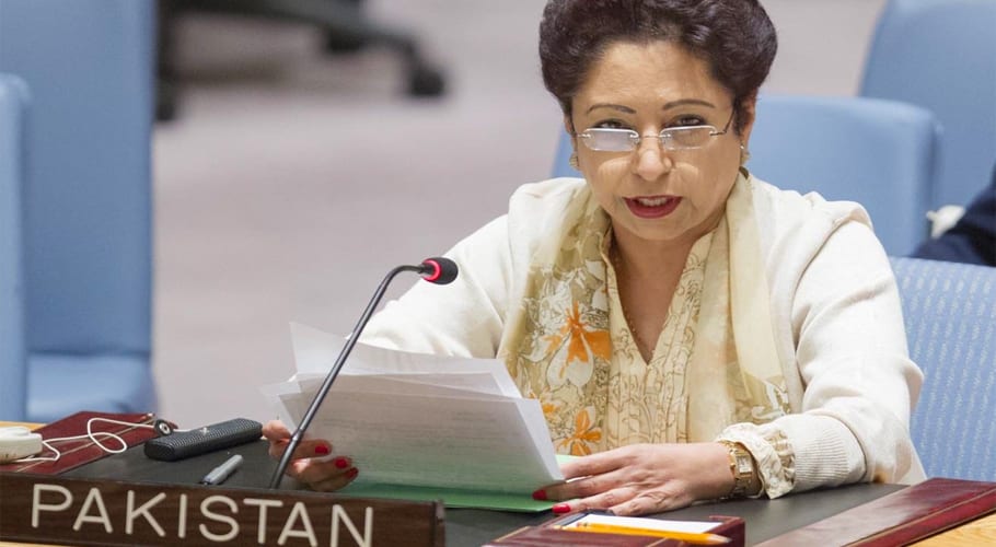 عالمی میڈیا کا ایل او سی دورہ ثبوت ہے کہ پاکستان کچھ نہیں چھپاتا۔ملیحہ لودھی