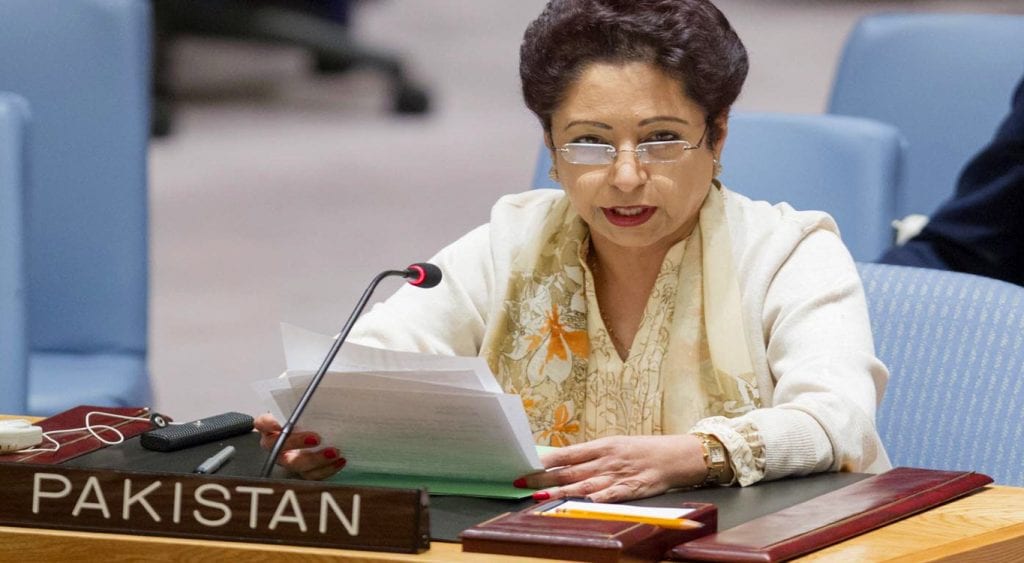 دہشت گردی کے خلاف جنگ میں پاکستان کی قربانیوں کو نظر انداز نہیں کیا جاسکتا۔ملیحہ لودھی