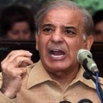 shahbaz sharif criticises govt over petroleum prices reduction