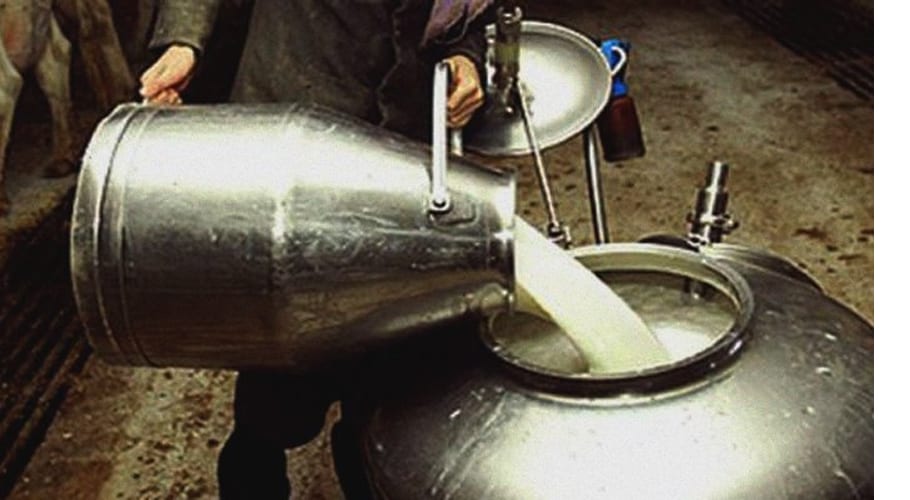 milk price
