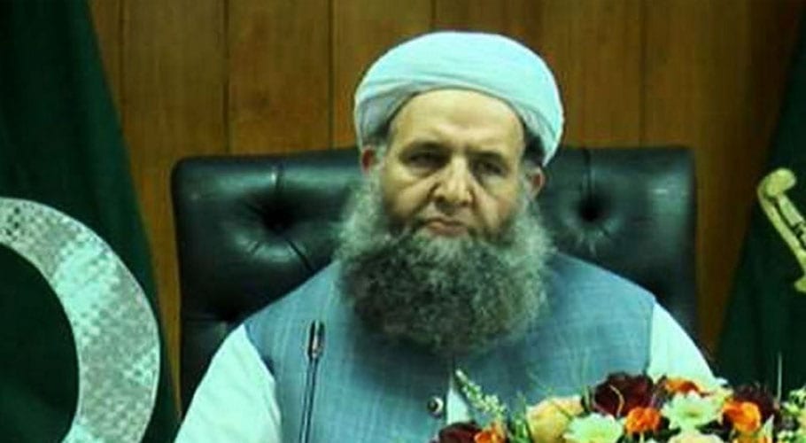 ملک میں چندعناصرکوریاست مدینہ کی فکر سےاختلاف ہے،نور الحق قادری