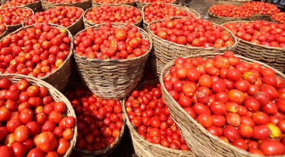 tomato
