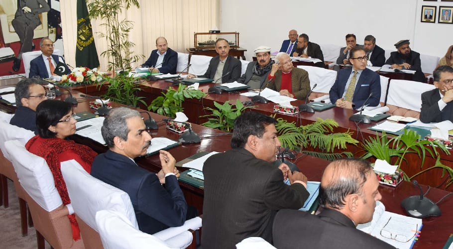 Hafeez sheikh ECC meeting