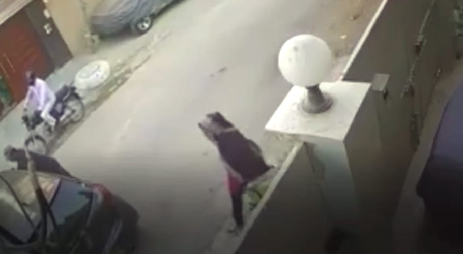 کراچی میں ڈکیتی کی واردات: موٹر سائیکل سوار ملزمان نقدی اور موبائل فون لے اڑے