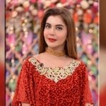 Nida Yasir requests prayers after testing postive for COVID-19