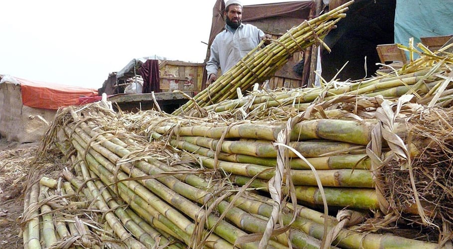 سندھ میں شوگر ملز کاروبار میں ٹیکس چوری کا انکشاف، افسران تعینات کر دئیے گئے