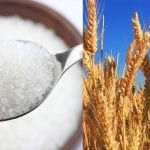sugar and wheat