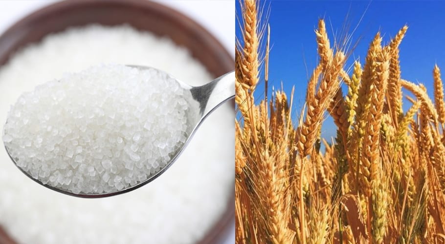 sugar and wheat