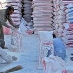flour prices