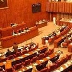 senate pakistan