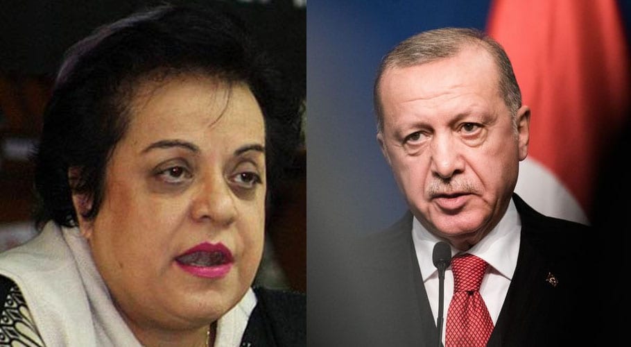 Erdogan’s Parliament speech reflects his support for us: Mazari