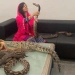rabi pirzada