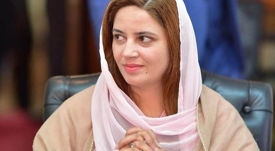 سندھ حکومت زبانی جمع خرچ سے آگے نہیں بڑھ سکی۔زرتاج گل وزیر