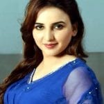 Hareem Shah supported the ban on TikTok