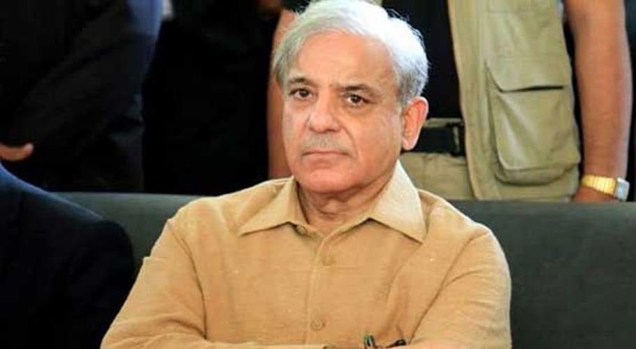 حکومت سوئی رہی تو زرعی شعبہ کو ناقابل تلافی نقصان پہنچ سکتا ہے، شہباز شریف