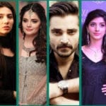 سانحہ پی آئی اے،قومی سانحہ، شوبز شخصیات بھی رنجیدہ ہوگئیں
