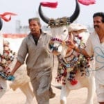 Records of animal purchases at Sohrab Goth Cattle Market were broken