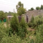 اسلام آباد کے گرین ایریاز میں جھگی مافیا عروج پر، سی ڈی اے خاموش تماشائی بن گئی