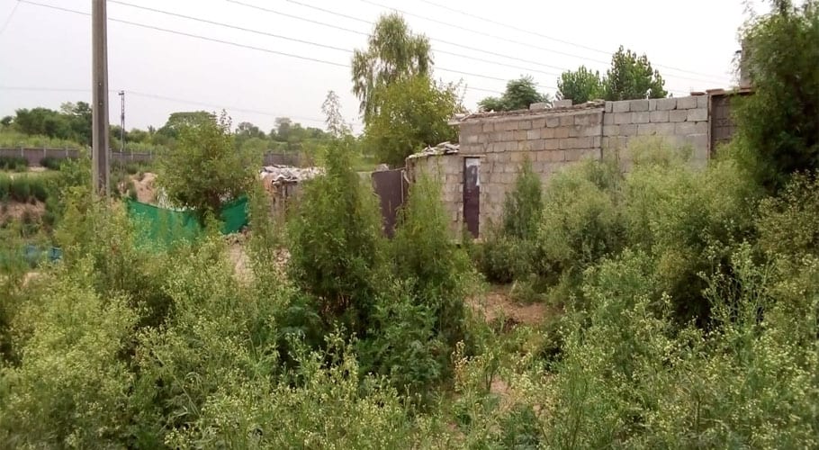 اسلام آباد کے گرین ایریاز میں جھگی مافیا عروج پر، سی ڈی اے خاموش تماشائی بن گئی