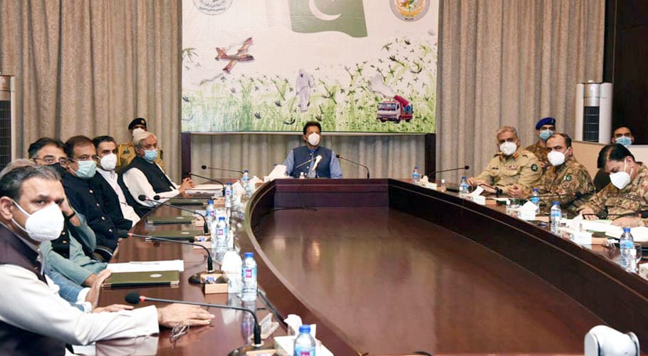ٹڈی دل کے خاتمے کیلئے مل کر کام کرنے کی ضرورت ہے، وزیراعظم