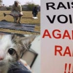 جانوروں کے ساتھ تشدد اور زیادتی کے واقعات، انسانیت کس طرف جارہی ہے؟