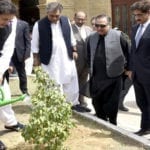 تاریخ کی سب سے بڑی شجرکاری مہم، کیا 1 روز میں 35 لاکھ درخت لگائے جاسکتے ہیں؟
