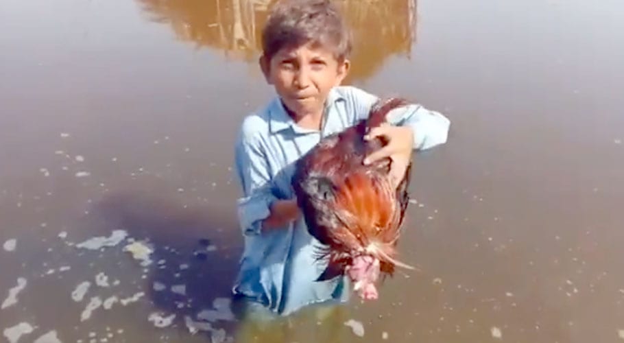 Child disappointed in Naya Pakistan