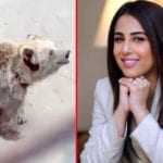 Ushna Shah demands closure of zoos, ban on exhibition of animals