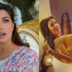 مہوش حیات کا اشتہار، پاکستانی تہذیب و ثقافت اور ہماری اخلاقی اقدار