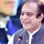PPP's move foiled plans of PML-N, JUI-F to destabilize govt: Shibli