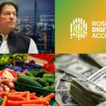 روشن ڈیجیٹل اکاؤنٹ، ترسیلاتِ زر اور بہتری کی طرف گامزن پاکستانی معیشت