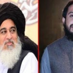 Hafiz Saad Rizvi appointed chairman TPL