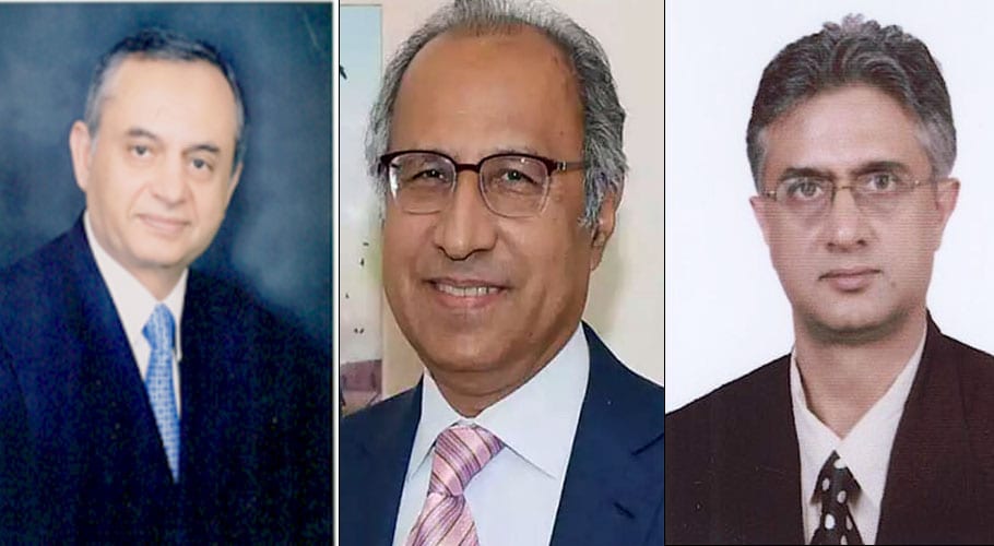 Hafeez, Dawood, Dr Faisal likely to be made federal ministers for six months
