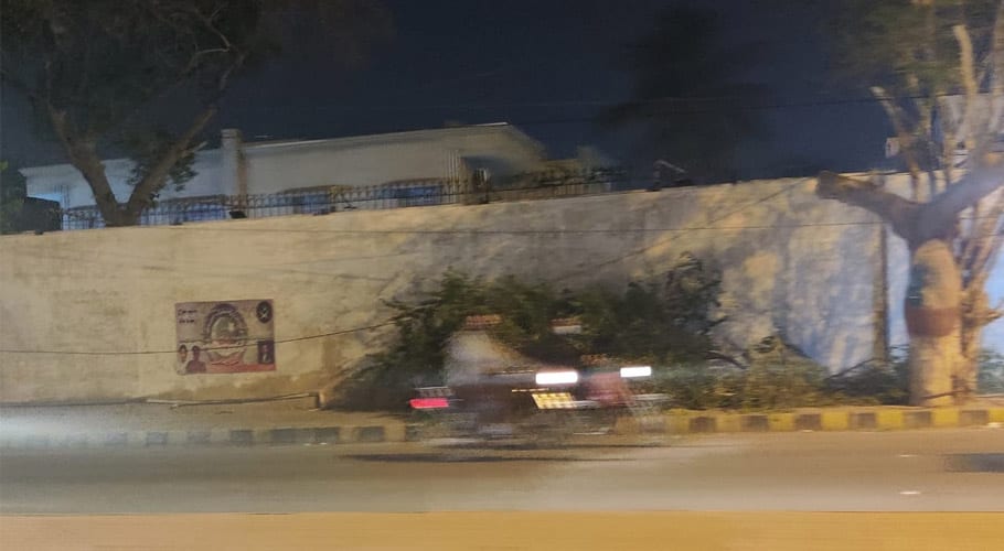 ڈی ایم سی ساؤتھ کے محکمۂ آؤٹ ڈور ایڈورٹائزمنٹ نے اشتہار لگانے کیلئے درخت کاٹ دیا