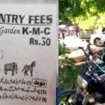 کراچی چڑیاگھر،عوام سے لوٹ مار،فنڈکی کمی ،جانوروں کی ہلاکت کاخدشہ