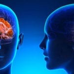 دماغ میں روشنی پہنچا کرعلاج کرنے والا وائرلیس پیوندتیار کرلیا گیا