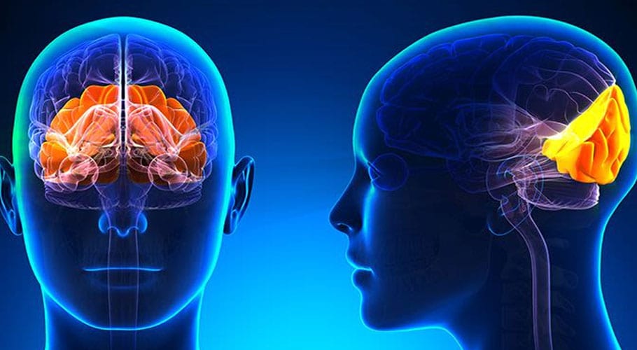دماغ میں روشنی پہنچا کرعلاج کرنے والا وائرلیس پیوندتیار کرلیا گیا