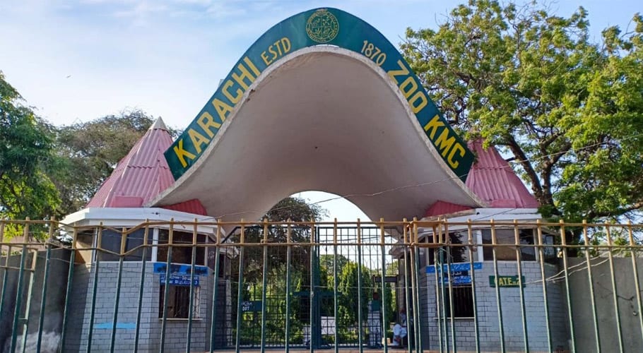 چڑیا گھروں کے ٹھیکوں کی نیلامی منسوخ کرانے کیلئے جعلی بولی لگوانے کا انکشاف