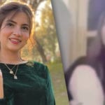 Alleged leaked video of Dananeer aka Pawri Girl goes viral