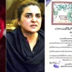کشمالہ طارق کے بیٹے اور متوفیان کے ورثاء کے معاملات طے پا گئے،صلح نامہ عدالت میں پیش