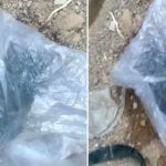 پی ٹی آئی کے ایم پی اے سعید آفریدی کے دفتر کے باہر بارود کی موجودگی کا انکشاف