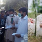 مرغی کا گوشت غیرقانونی نرخ پر فروخت کرنے پر چھاپہ، دکانداروں پر 10ہزار جرمانہ عائد