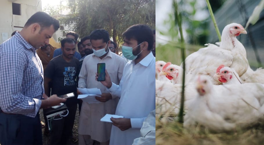 مرغی کا گوشت غیرقانونی نرخ پر فروخت کرنے پر چھاپہ، دکانداروں پر 10ہزار جرمانہ عائد