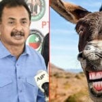 Haleem Adil sheikh donkey