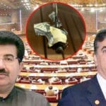 Senate Chairman