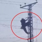 Youth climbs electric pole