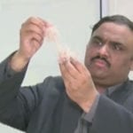 زرعی یونیورسٹی فیصل آباد کے ماہرین نے جراثیم کش جینز تیار کرلی