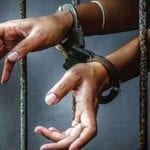 محکمہ ایکسائز پولیس کی کارروائی،1200 کلو گرام بھنگ برآمد، ایک ملزم گرفتار